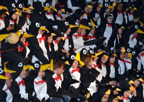 Самые необычные мировые рекорды