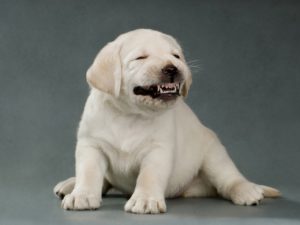 Рыжее облако накрыло город после аварии на химзаводе