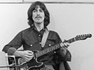 Американский кот Пиксель, с клыками наружу, похож на Дракулу