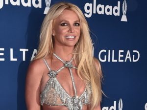 Медведь, уничтожающий камеры в алтайском заповеднике, попал в фотоловушку