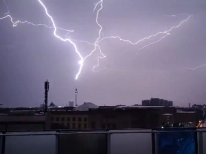 Голодный пес едва не сжег хозяйский дом в поисках еды