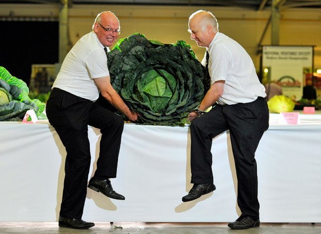 Гигантомания: самые большие объекты и продукты в мире