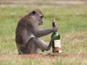 Лунную рыбу весом в 45 кг нашли в Орегоне