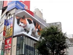 В Токио установили рекламный билборд с огромным мяукающим 3D котом