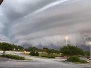 Шакира похвасталась навыками серфера в новом романтическом клипе