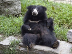 Наоми Кемпбел предстала в соблазнительном бикини на завязочках