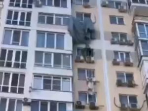 Фанат бейсбола стал звездой сети, поймав мяч рукой, не уронив при этом дочь и пиво