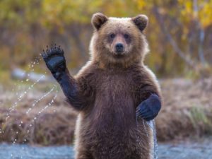 Молния поразила запущенную ракету, попав на видео