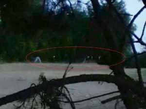 Литва со стрельбой выдворила иракских мигрантов в Минск