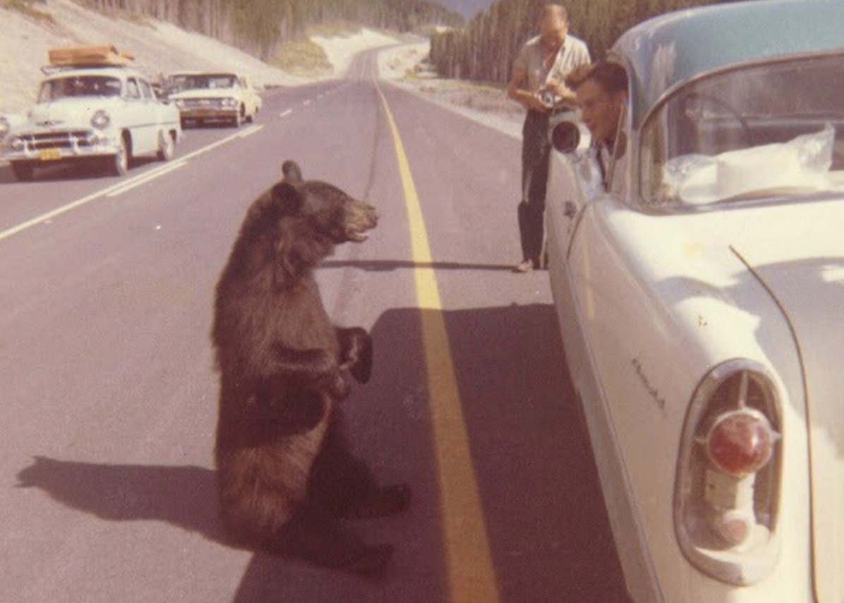 Редкие исторические кадры, которые удалось запечатлеть на пленку