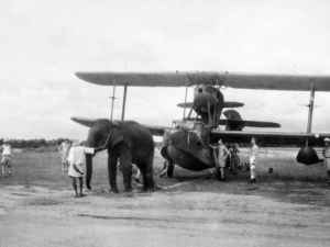 Редкие исторические кадры, которые удалось запечатлеть на пленку. Часть 4