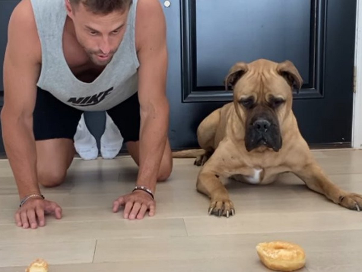 Гонка по поеданию сладостей: кто победит, человек или пес?