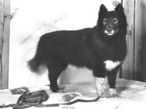 Самые знаковые лица мировой моды