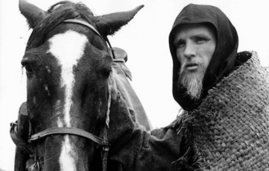 Животные, которые изменили мир и науку