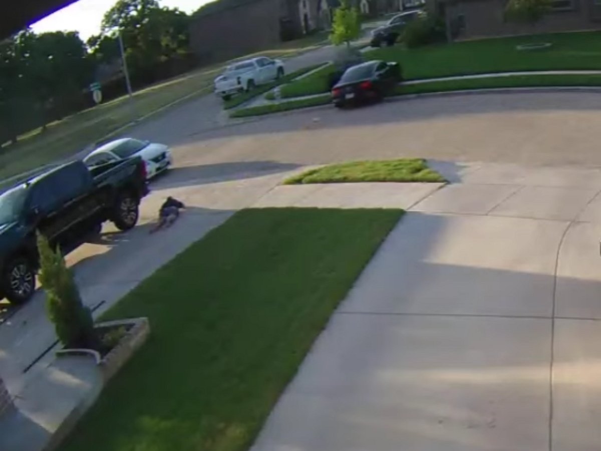 Не желая быть похищенной, машина сама вылетела из гаража, сбив угонщика с ног