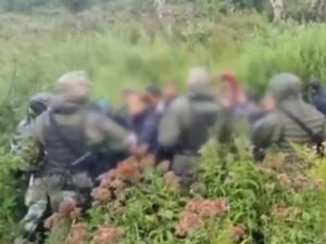 Нелегалы Белоруссия