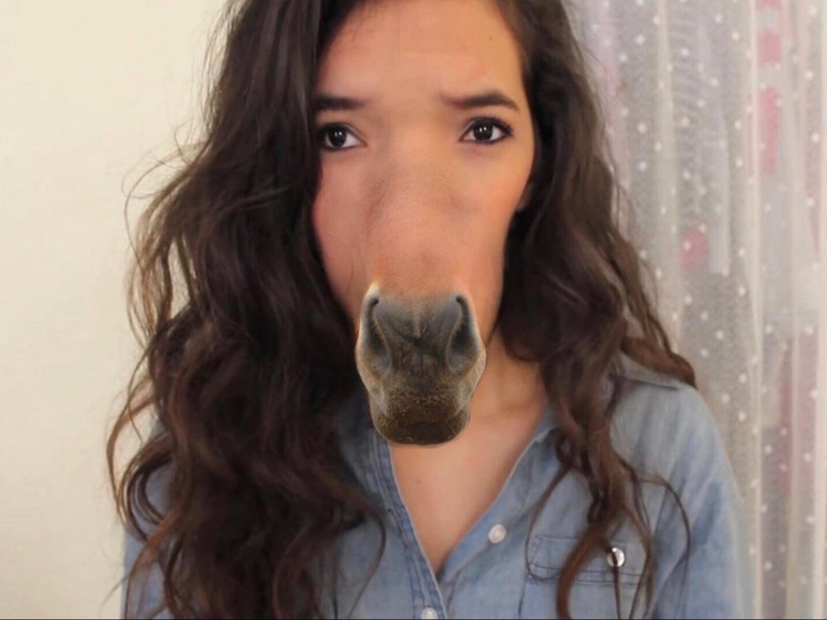 Дети поголовно впадают в истерику от нового видеотренда Horse Morph