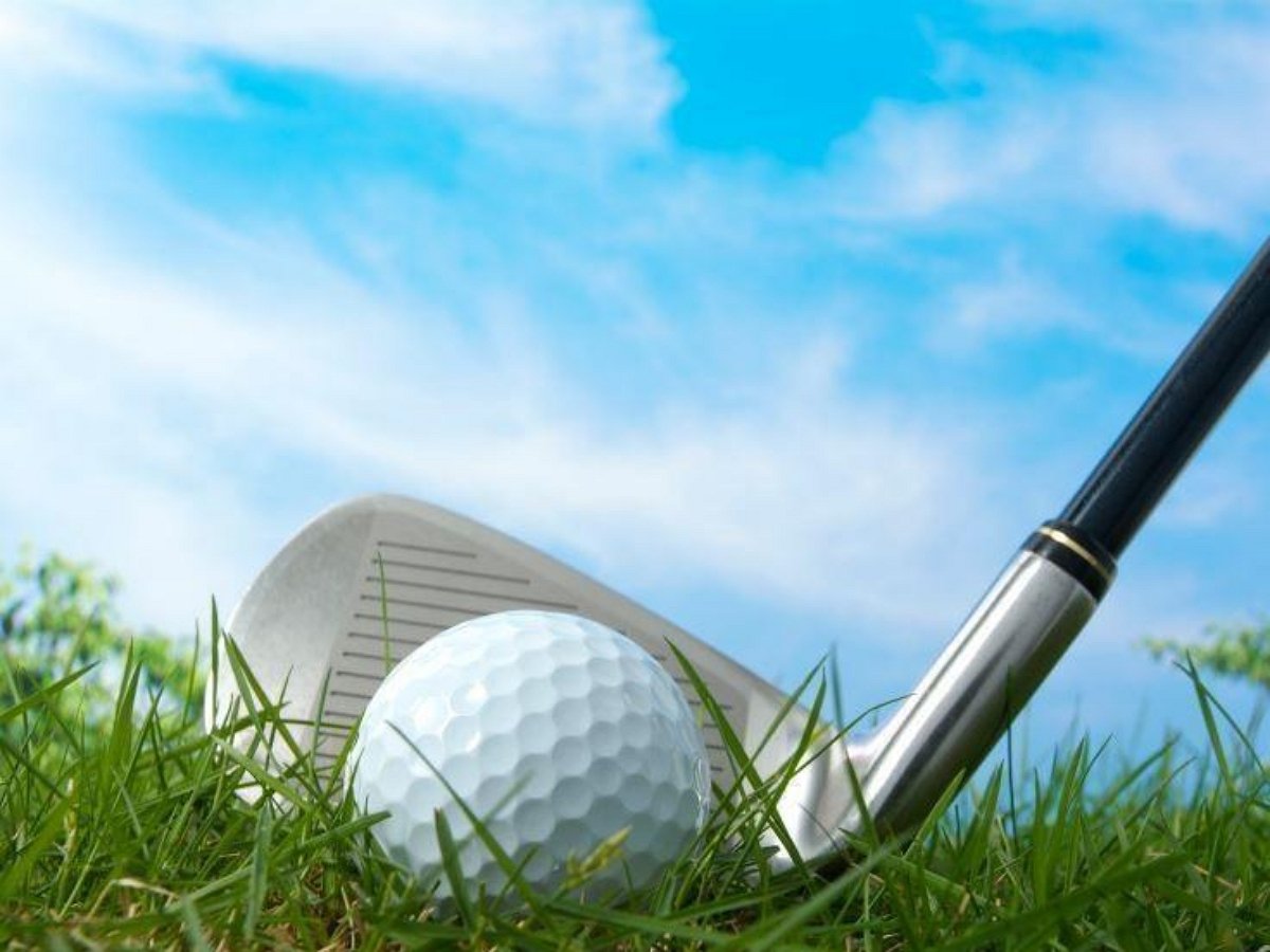 Три маленьких медведя устроили игрища на поле для гольфа