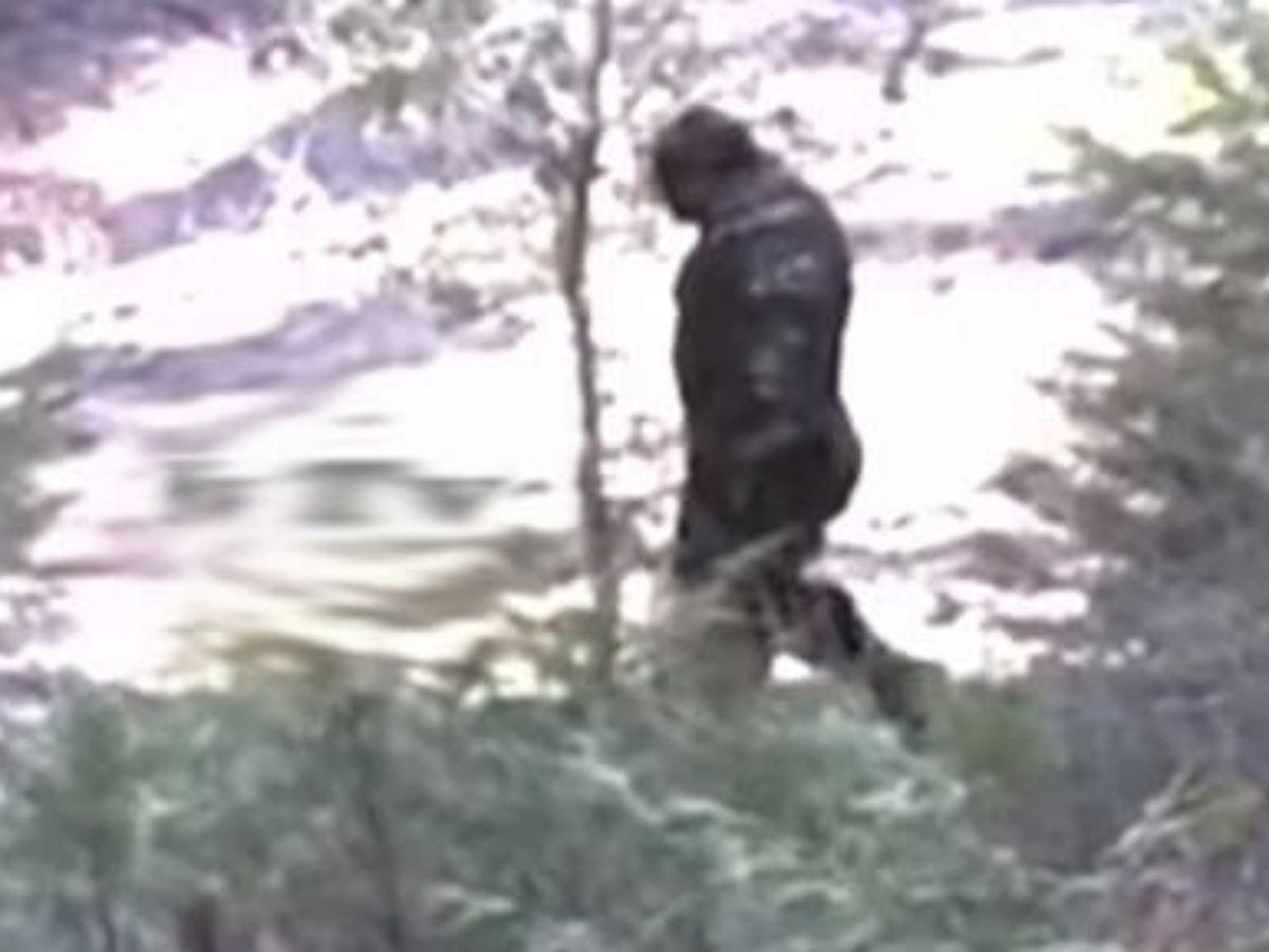 Видео со «снежным человеком» обсуждают в Сети