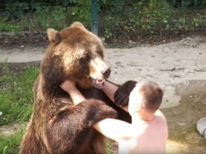 Борьба медведя со своим хозяином впечатлила пользователей