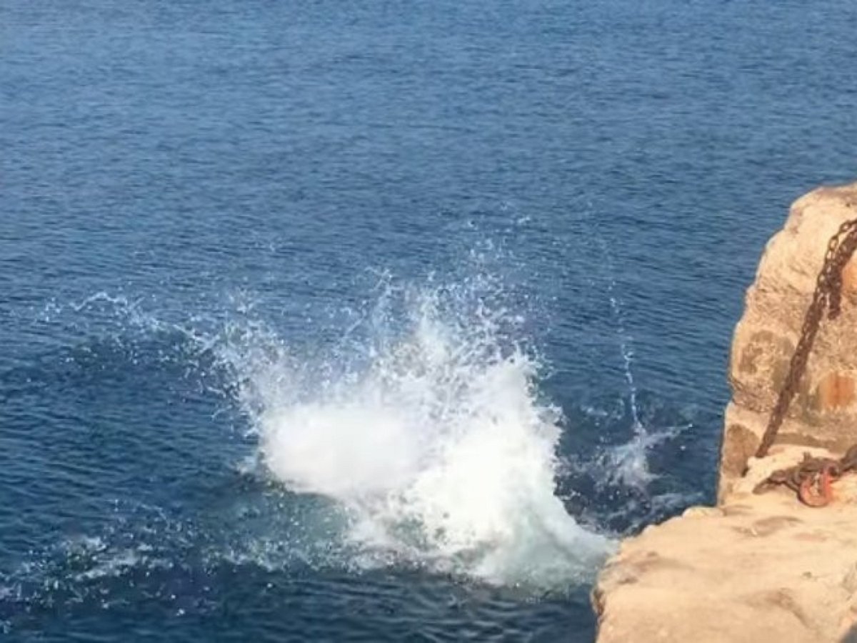 Синхронный прыжок в море пса и хозяина умилил пользователей
