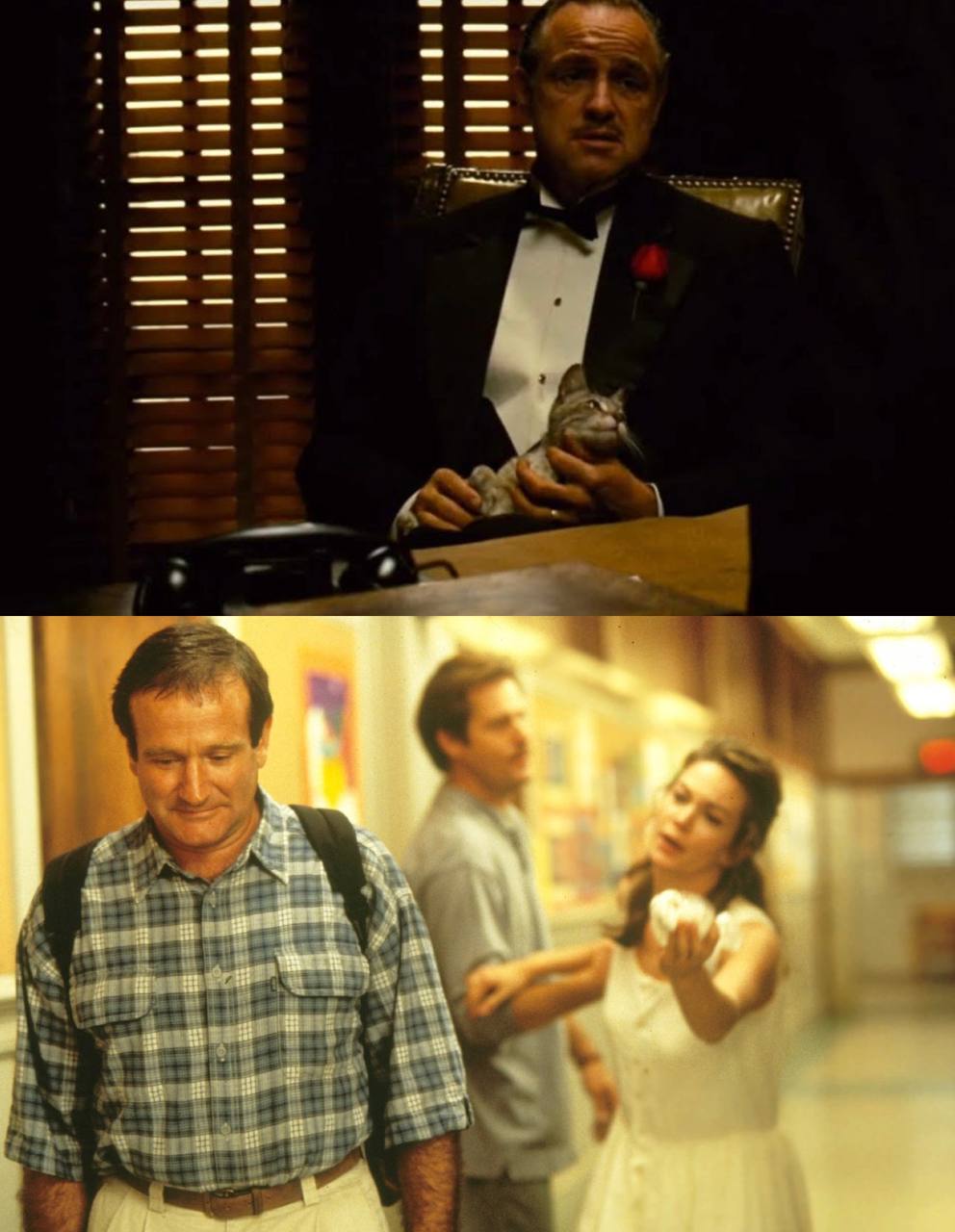 Известные фильмы, которые снял один режиссер, но в это трудно поверить