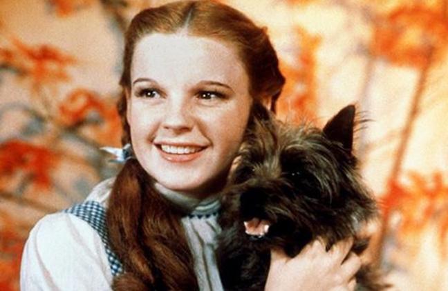 Дети-актеры, которые номинировались на «Оскар»