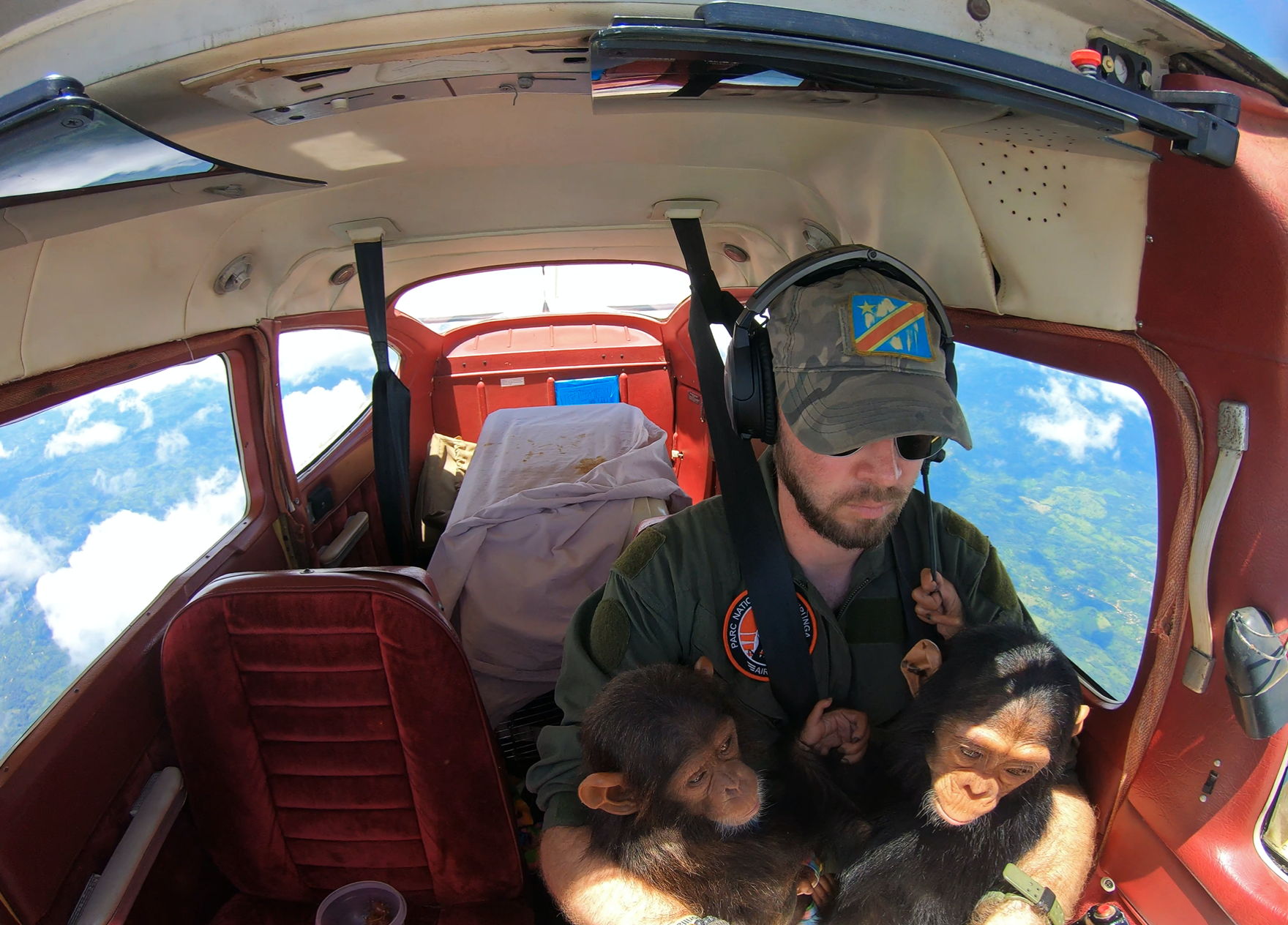 Фото года дикой природы 2021 от Лондонского музея естествознания