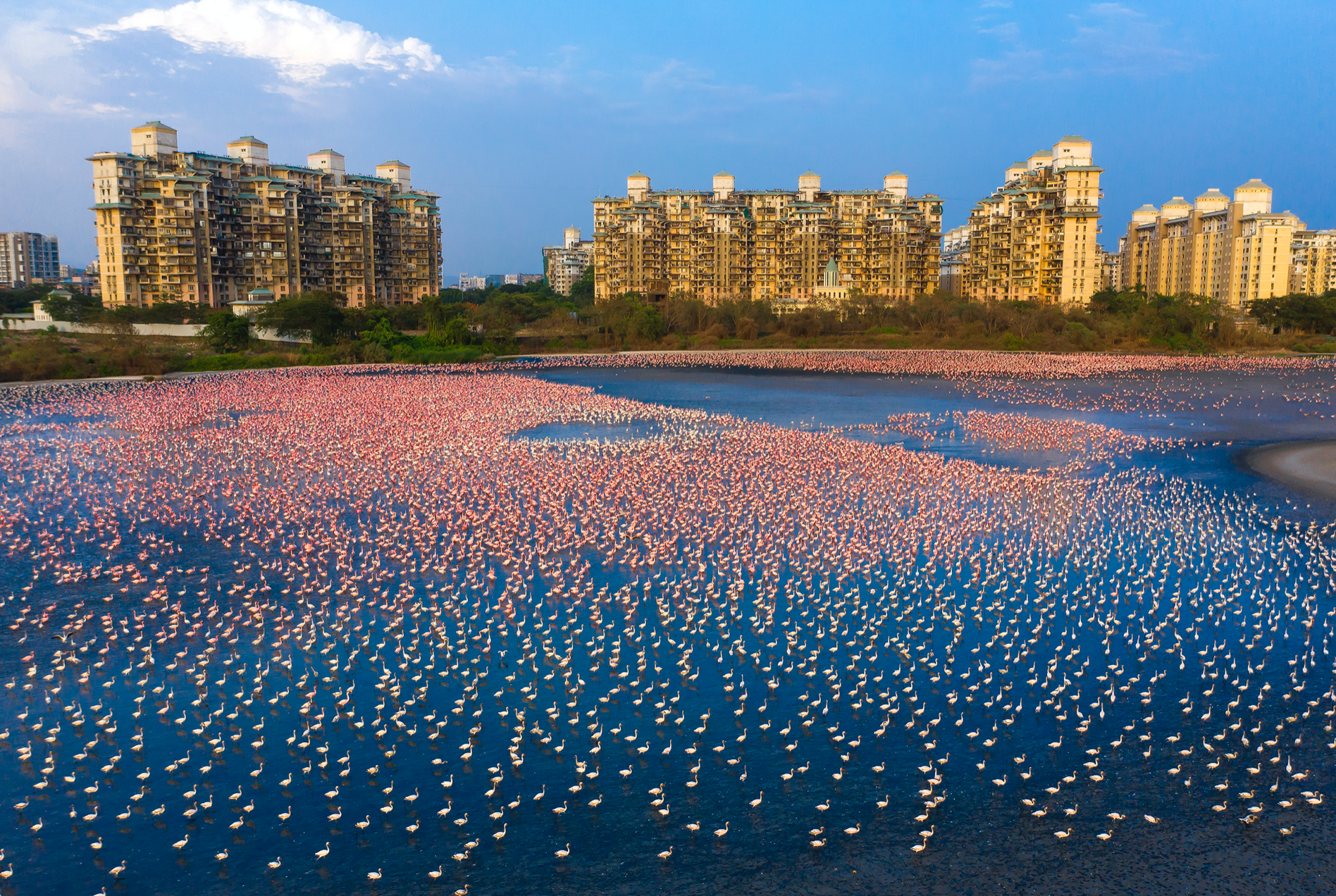 Фото года дикой природы 2021 от Лондонского музея естествознания