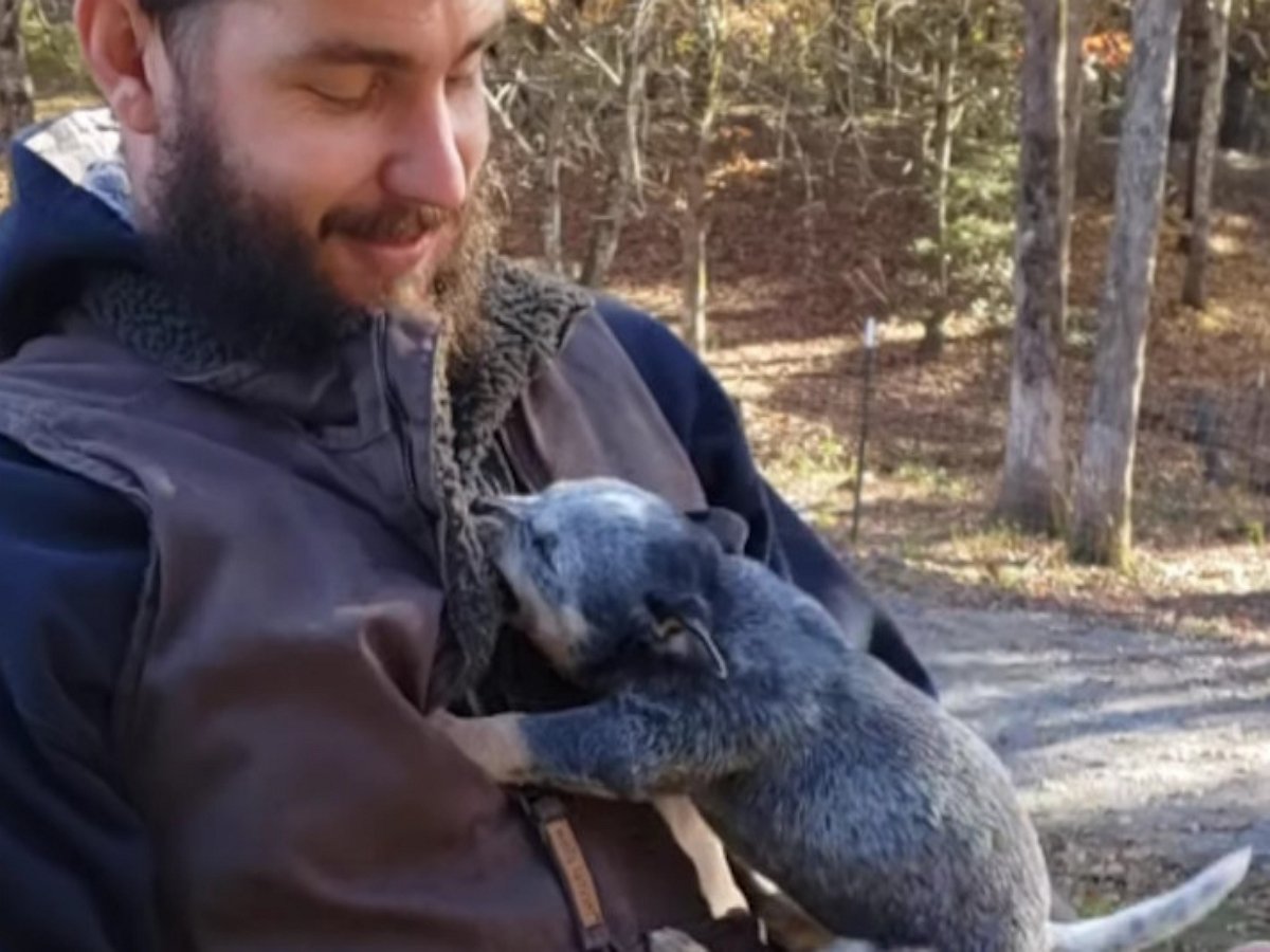 Мужчина подвергся нападению маленького хищника