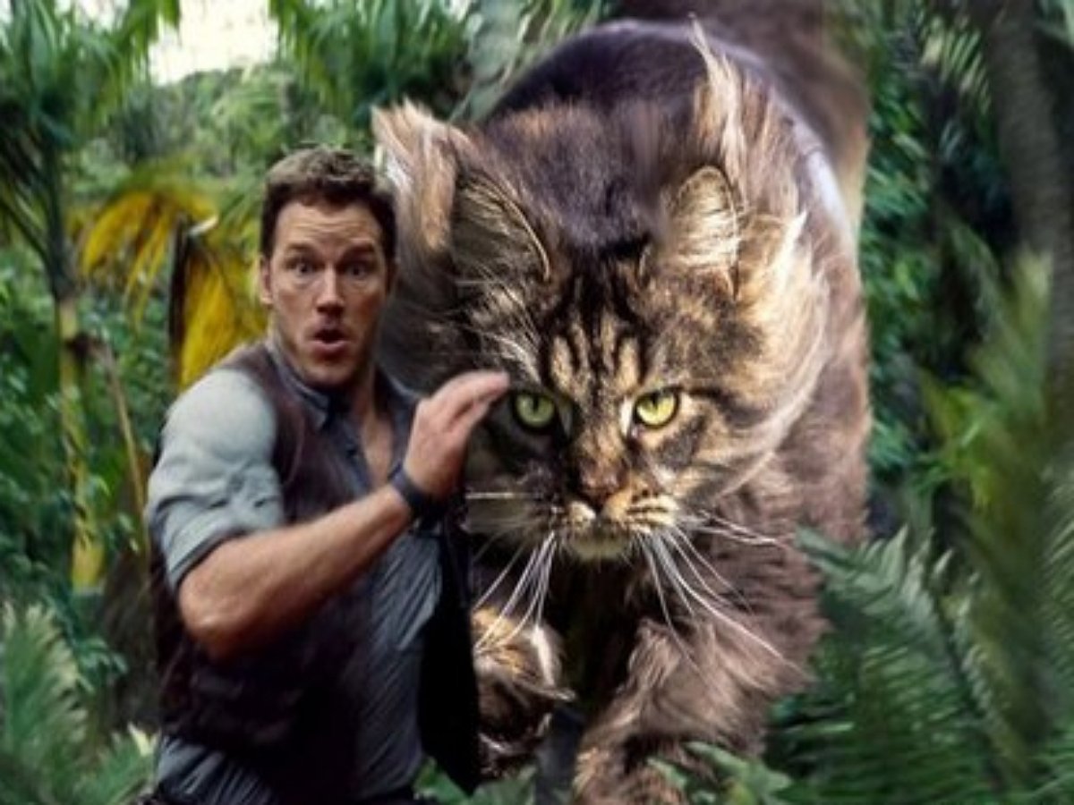 «Легенда о котозавре»: что если в фильме «Парк Юрского периода» вместо динозавров будет кот?