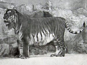 Редкие ретрофото, на которых пересеклись знаменитости 