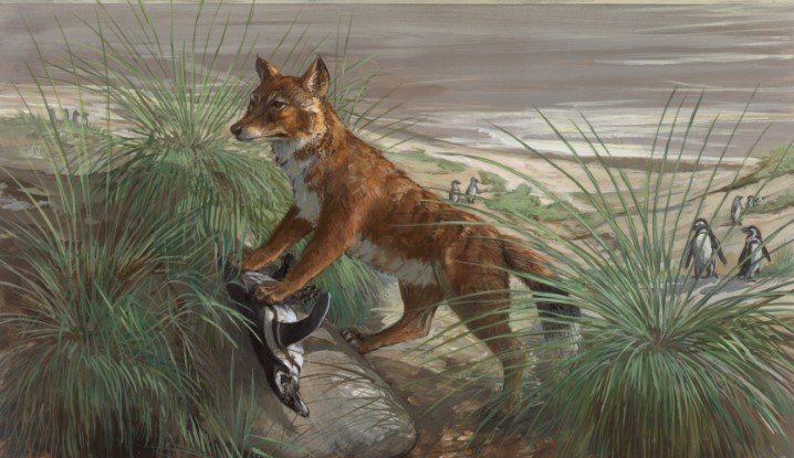 Животные, которые вымерли сравнительно недавно