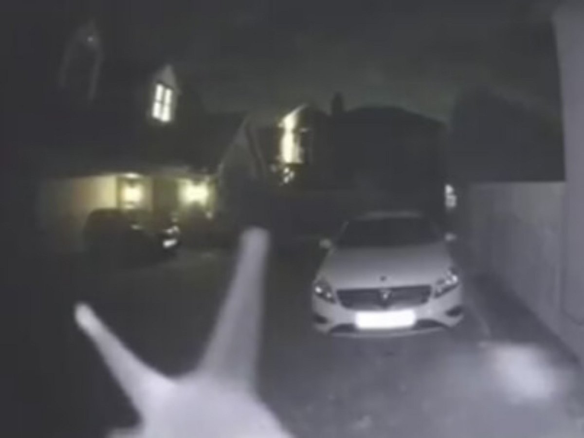 «Инопланетное чудище со щупальцами» позвонило в дверь среди ночи