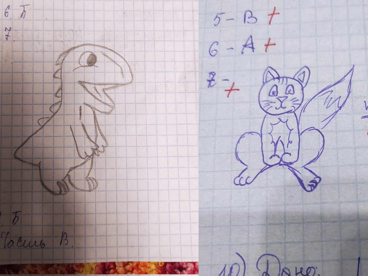 В Тюмени студенты рисовали котиков и ежей на контрольной по физике
