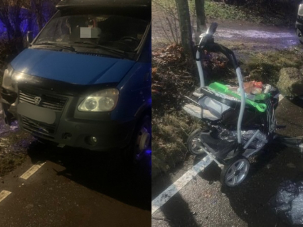 Пьяный водитель в Новой Москве сбил мать с детьми: младенцу оторвало голову