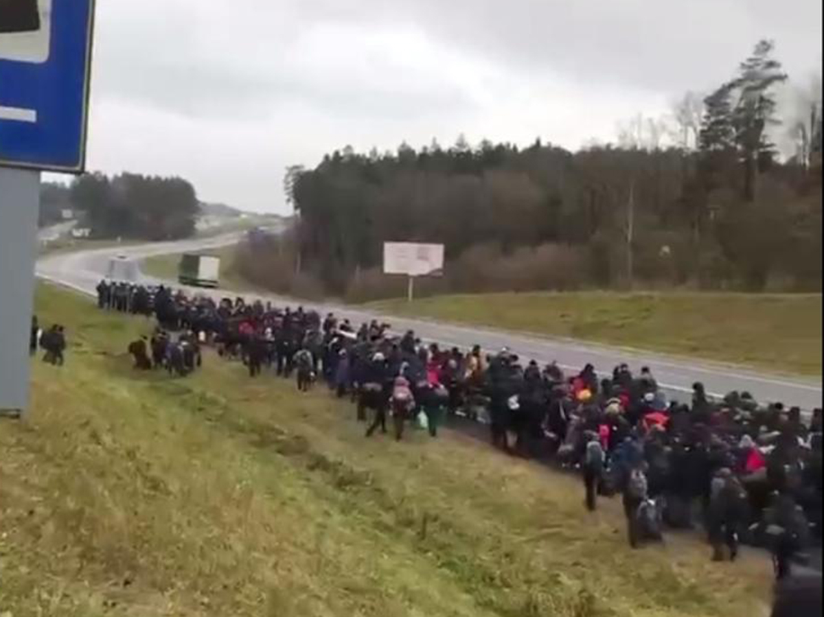 Мигранты на границе Польши Белоруссии