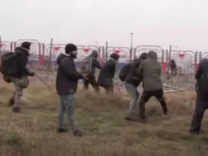 Мигранты на границе Польши и Белоруссии