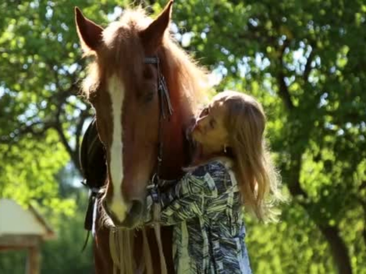 Лошади тоже любят обниматься, хоть и не умеют
