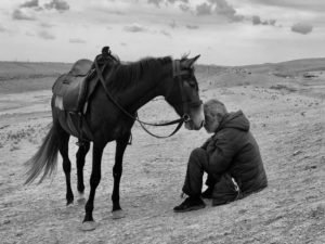 Фото знаменитостей с их фанатами, которые можно разглядывать вечно