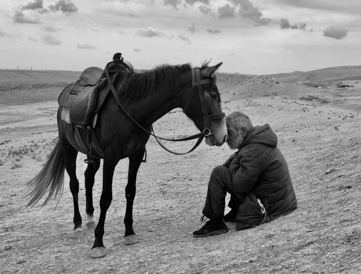 Лучшие фото на iPhone в 2021 году