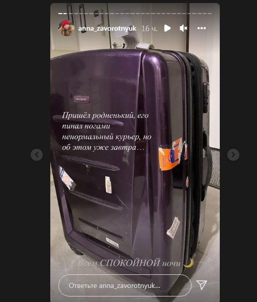 Дочь Анастасии Заворотнюк едва не сняли с рейса из-за скандала с багажом