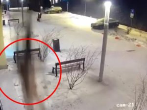 допрос жертва из окна