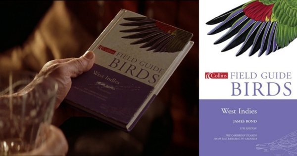 Интересные факты из известных фильмов