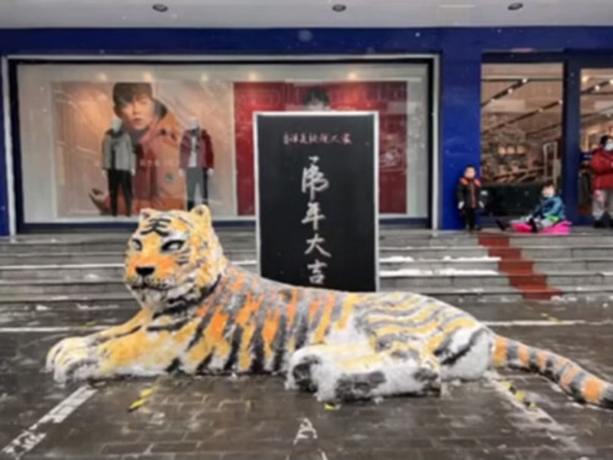 Отец с сыном вылепили из снега статую новогоднего тигра