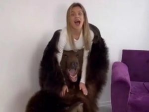 21-летняя тиктокерша привела медведя в квартиру к годовалому ребенку