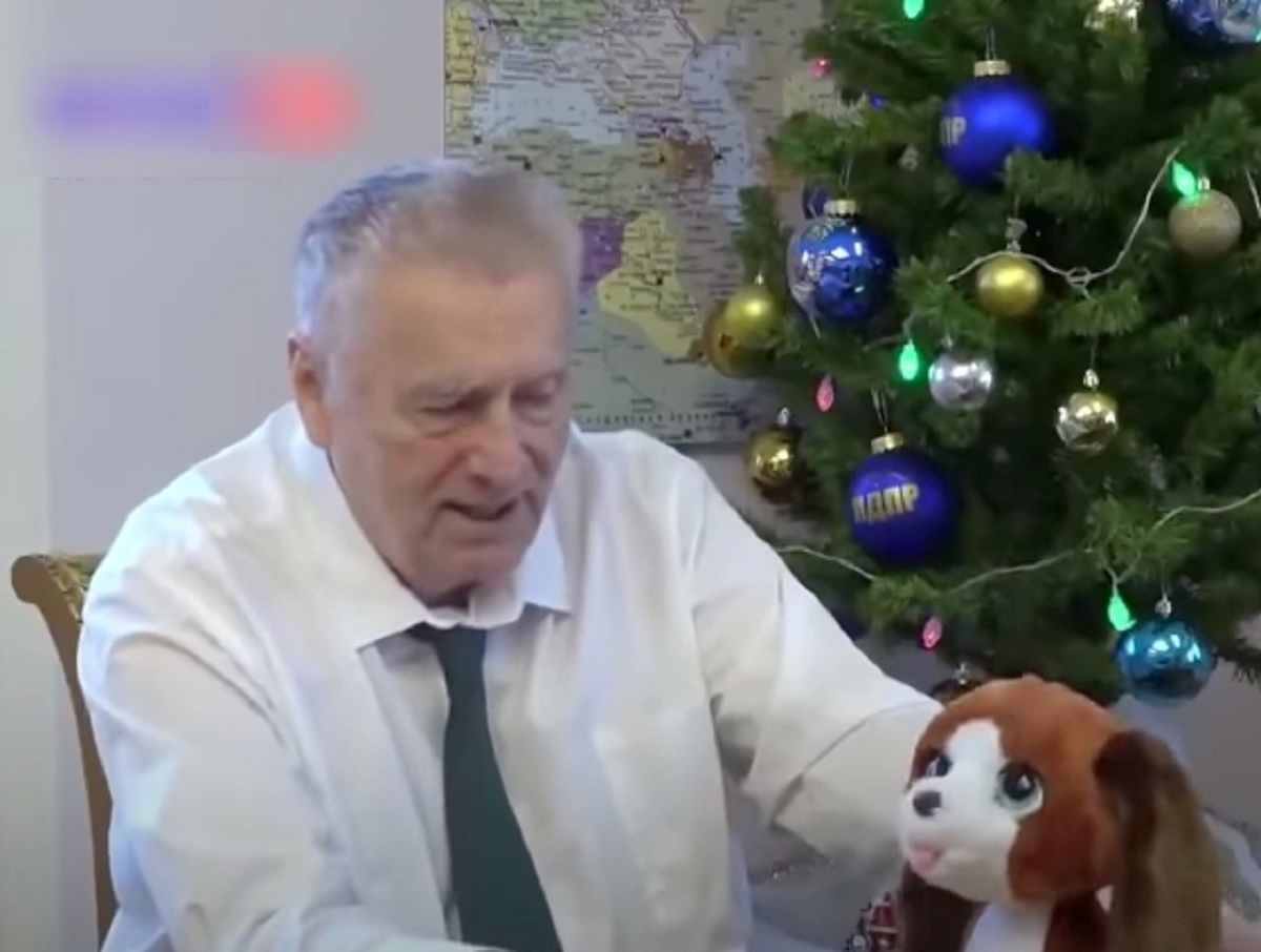 «Тебя задержат»: речь Жириновского для девочки, мечтающей об игрушке, взорвала Сеть