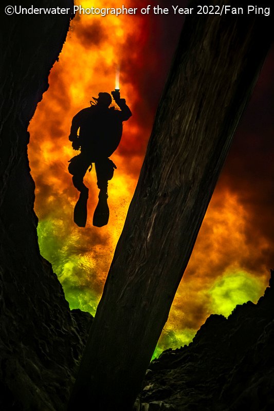 Победители фотоконкурса Underwater Photographer of the Year 2022