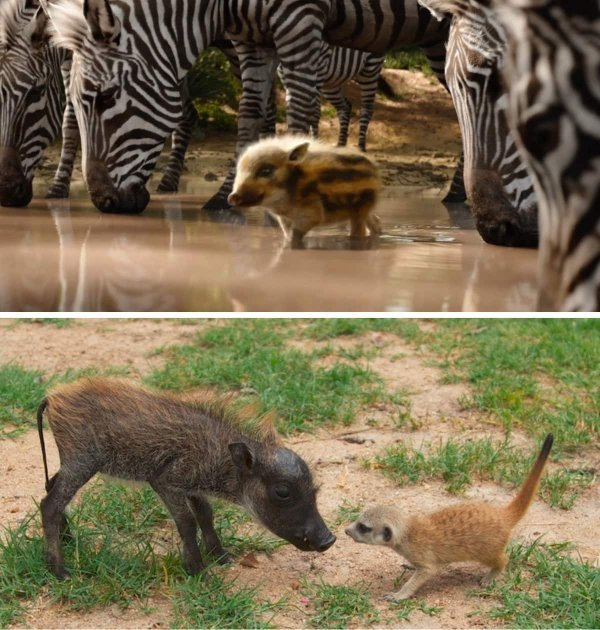 Киноляпы из известных фильмов