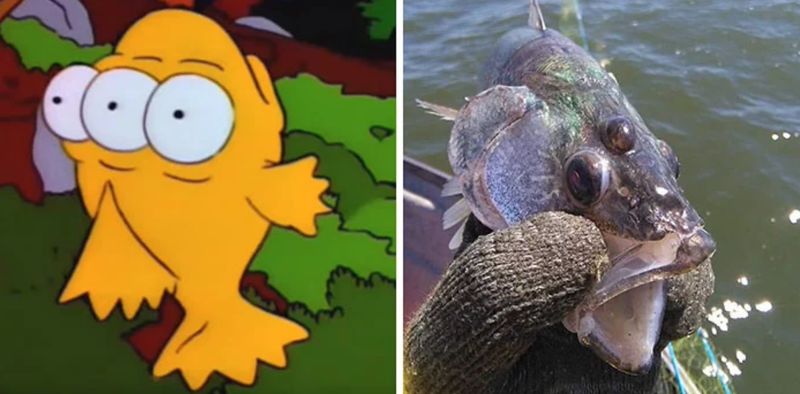 Предсказания будущего из мультфильмов, которые оказались правдой